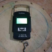 Timbangan Gantung Digital 50 kg